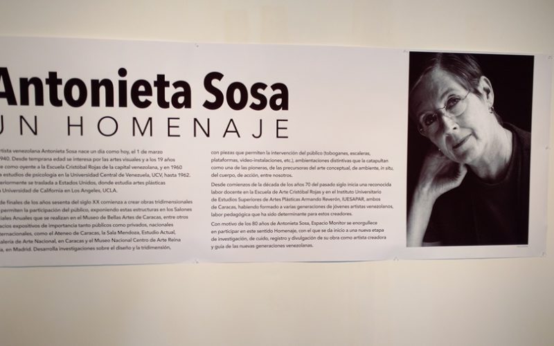 Un mural rinde homenaje a la artista Antonieta Sosa. El lado izquierdo tiene un texto en español titulado "Antonieta Sosa: Un Homenaje". El lado derecho muestra un retrato en blanco y negro de Antonieta Sosa, apoyando la cabeza en la mano.
